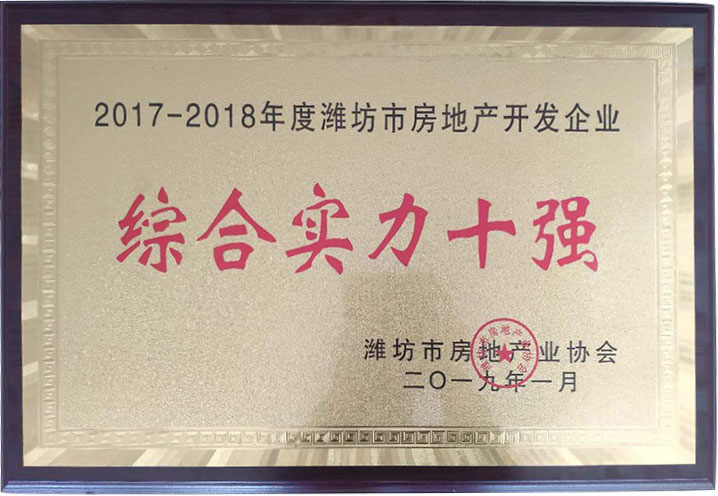 綜合實力十強